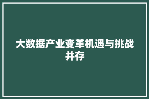 大数据产业变革机遇与挑战并存 编程语言 大数据产业变革机遇与挑战并存 编程语言