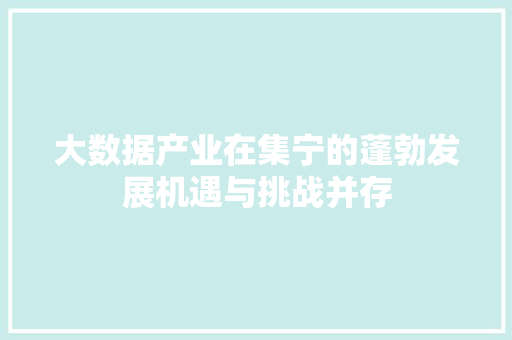 大数据产业在集宁的蓬勃发展机遇与挑战并存 编程语言