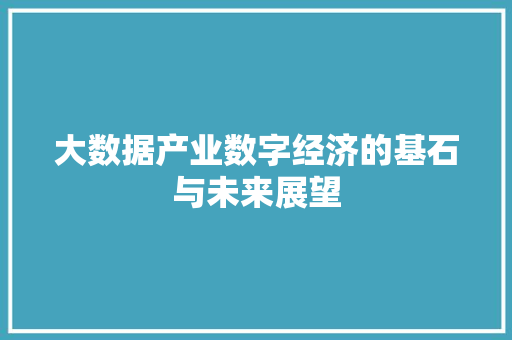 大数据产业数字经济的基石与未来展望 电脑基础