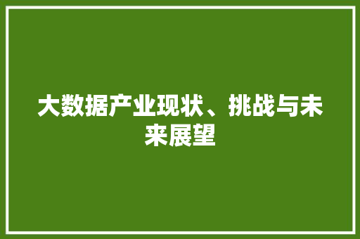 大数据产业现状、挑战与未来展望 编程语言