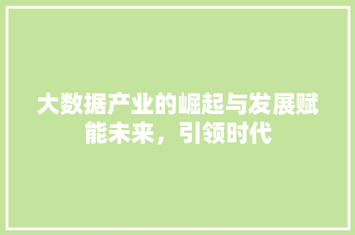 大数据产业的崛起与发展赋能未来，引领时代 电脑基础