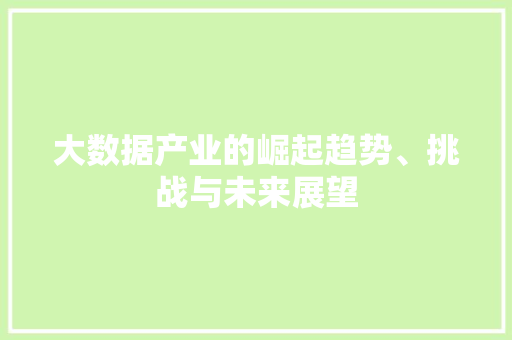 大数据产业的崛起趋势、挑战与未来展望 编程语言