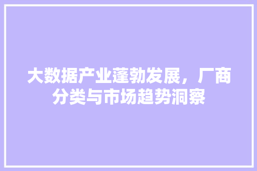 大数据产业蓬勃发展,厂商分类与市场趋势洞察 大数据产业蓬勃发展,厂商分类与市场趋势洞察