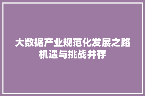 大数据产业规范化发展之路机遇与挑战并存