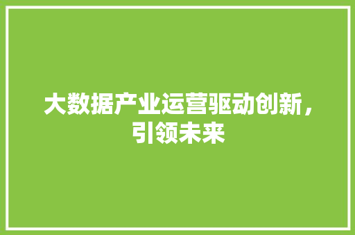 大数据产业运营驱动创新,引领未来 大数据产业运营驱动创新,引领未来