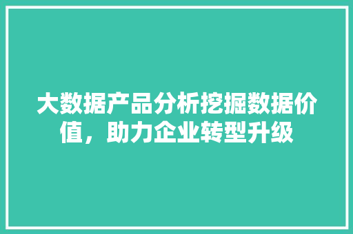 大数据产品分析挖掘数据价值，助力企业转型升级 电脑配置