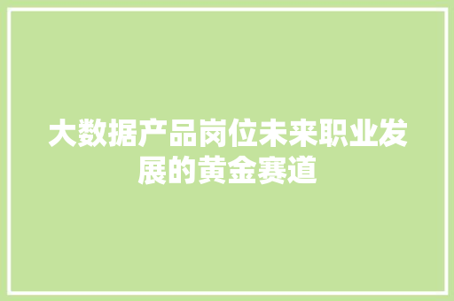 大数据产品岗位未来职业发展的黄金赛道 编程语言