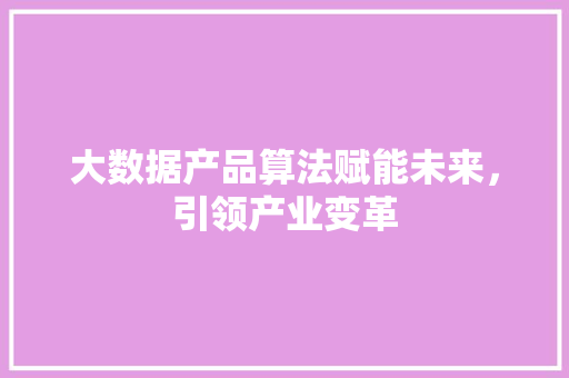 大数据产品算法赋能未来，引领产业变革 电脑配置