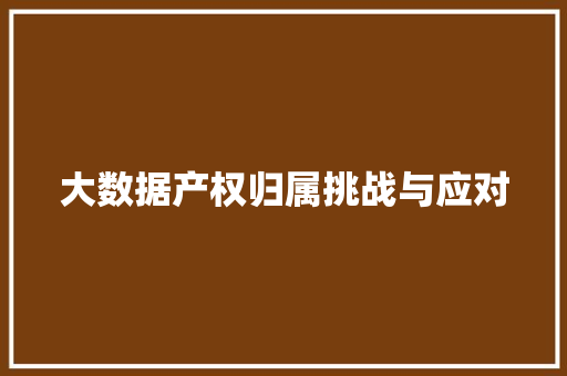 大数据产权归属挑战与应对 网络技术