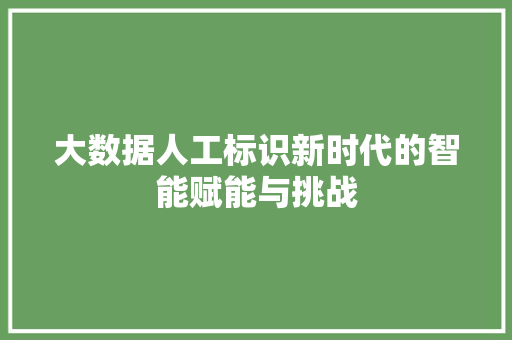 大数据人工标识新时代的智能赋能与挑战 操作系统