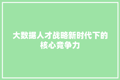 大数据人才战略新时代下的核心竞争力 编程语言 大数据人才战略新时代下的核心竞争力 编程语言