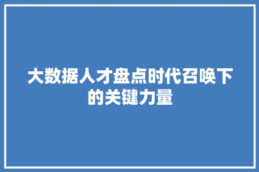 大数据人才盘点时代召唤下的关键力量 编程语言