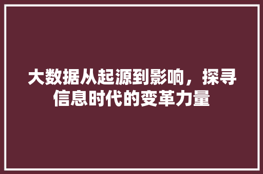 大数据从起源到影响,探寻信息时代的变革力量 网络技术 大数据从起源到影响,探寻信息时代的变革力量 网络技术