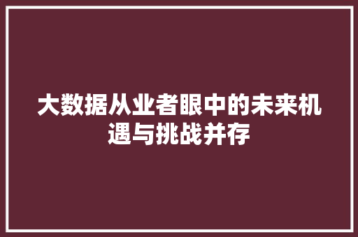 大数据从业者眼中的未来机遇与挑战并存 电脑基础