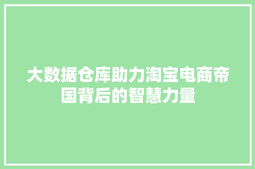 大数据仓库助力淘宝电商帝国背后的智慧力量 电脑故障维修