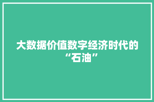 大数据价值数字经济时代的“石油” 电脑配置