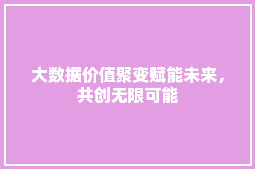 大数据价值聚变赋能未来,共创无限可能 操作系统 大数据价值聚变赋能未来,共创无限可能 操作系统