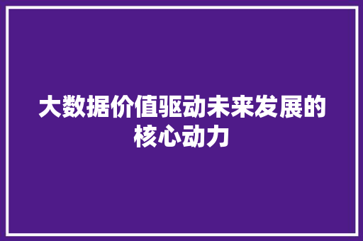 大数据价值驱动未来发展的核心动力 操作系统