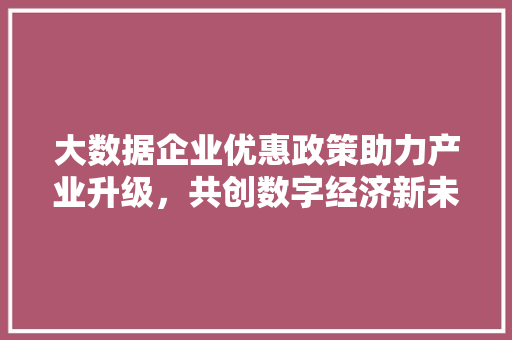 大数据企业优惠政策助力产业升级，共创数字经济新未来 网络技术