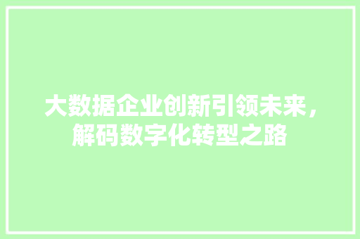大数据企业创新引领未来，解码数字化转型之路 操作系统