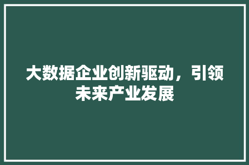 大数据企业创新驱动，引领未来产业发展 编程语言