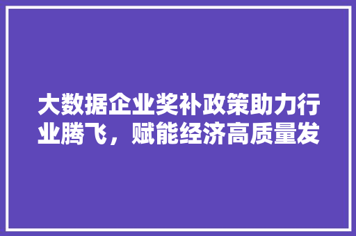 大数据企业奖补政策助力行业腾飞，赋能经济高质量发展 操作系统
