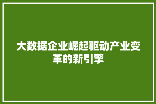 大数据企业崛起驱动产业变革的新引擎 操作系统