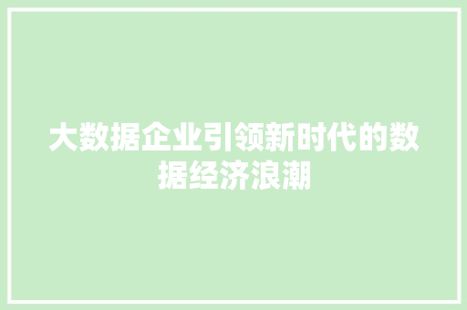 大数据企业引领新时代的数据经济浪潮 编程语言