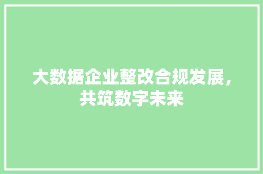 大数据企业整改合规发展,共筑数字未来 网络技术 大数据企业整改合规发展,共筑数字未来 网络技术