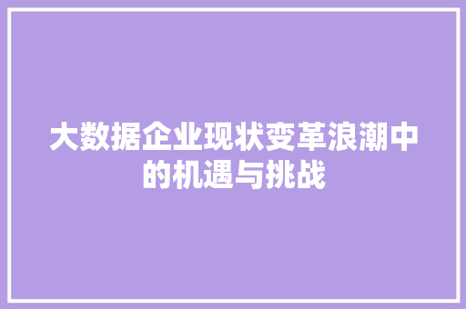 大数据企业现状变革浪潮中的机遇与挑战 网络技术