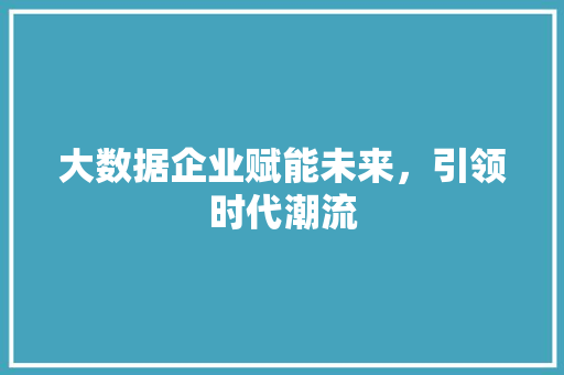 大数据企业赋能未来，引领时代潮流 电脑配置