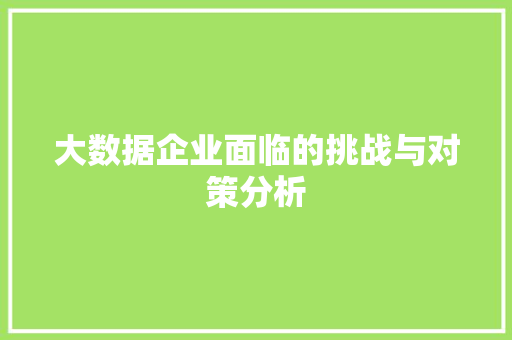 大数据企业面临的挑战与对策分析 电脑故障维修