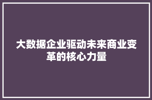 大数据企业驱动未来商业变革的核心力量 电脑基础