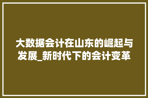 大数据会计在山东的崛起与发展_新时代下的会计变革