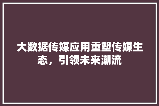 大数据传媒应用重塑传媒生态，引领未来潮流 电脑故障维修