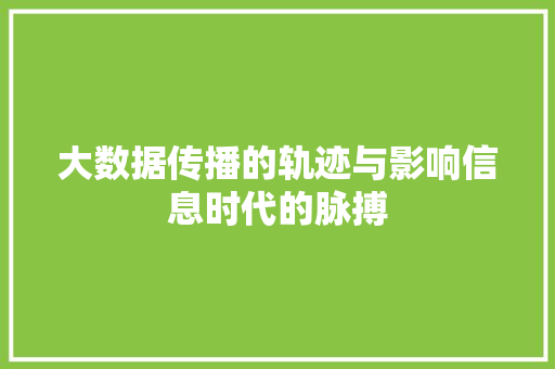 大数据传播的轨迹与影响信息时代的脉搏 电脑基础