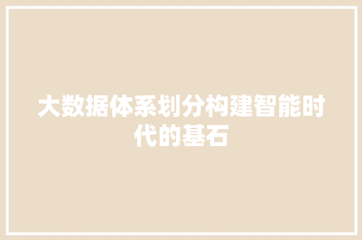 大数据体系划分构建智能时代的基石
