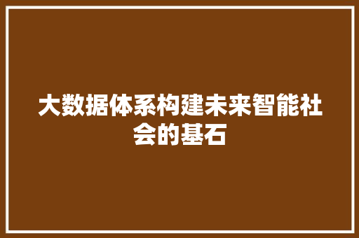 大数据体系构建未来智能社会的基石