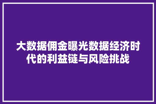 大数据佣金曝光数据经济时代的利益链与风险挑战