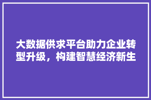 大数据供求平台助力企业转型升级,构建智慧经济新生态 电脑配置 大数据供求平台助力企业转型升级,构建智慧经济新生态 电脑配置
