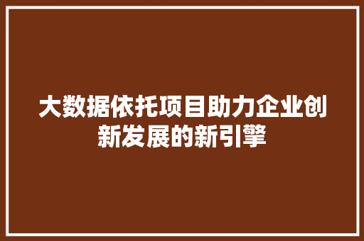 大数据依托项目助力企业创新发展的新引擎