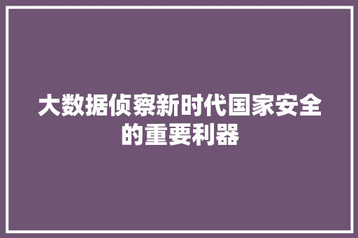 大数据侦察新时代国家安全的重要利器