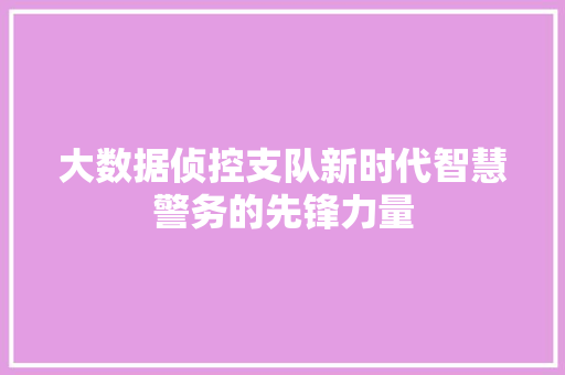大数据侦控支队新时代智慧警务的先锋力量
