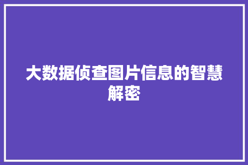 大数据侦查图片信息的智慧解密 电脑基础 大数据侦查图片信息的智慧解密 电脑基础