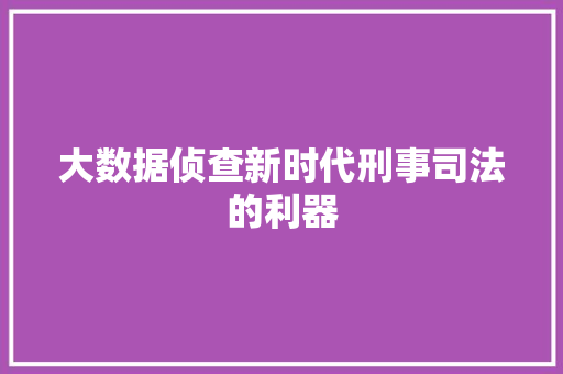 大数据侦查新时代刑事司法的利器 大数据侦查新时代刑事司法的利器