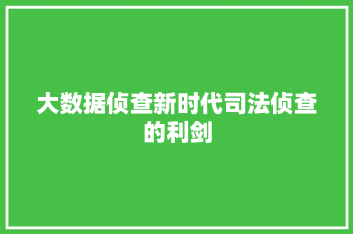大数据侦查新时代司法侦查的利剑