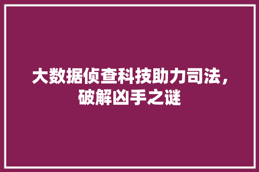 大数据侦查科技助力司法，破解凶手之谜