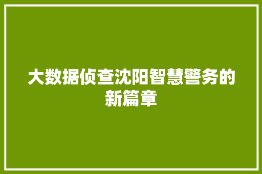 大数据侦查沈阳智慧警务的新篇章