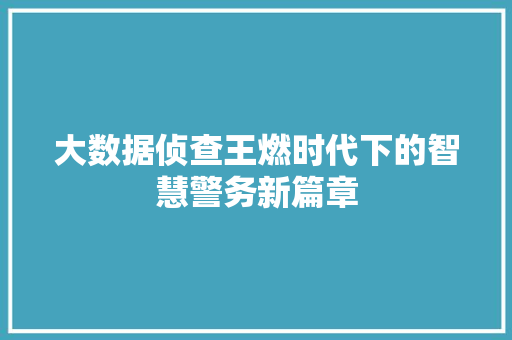 大数据侦查王燃时代下的智慧警务新篇章