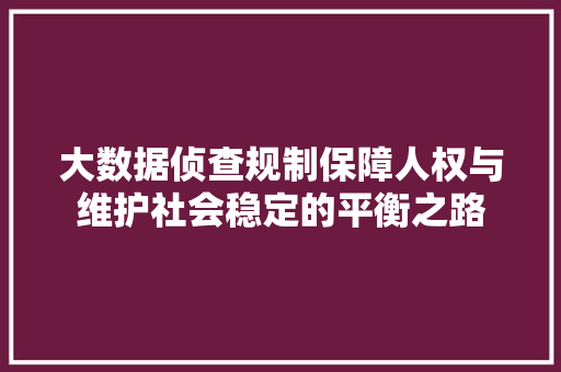 大数据侦查规制保障人权与维护社会稳定的平衡之路